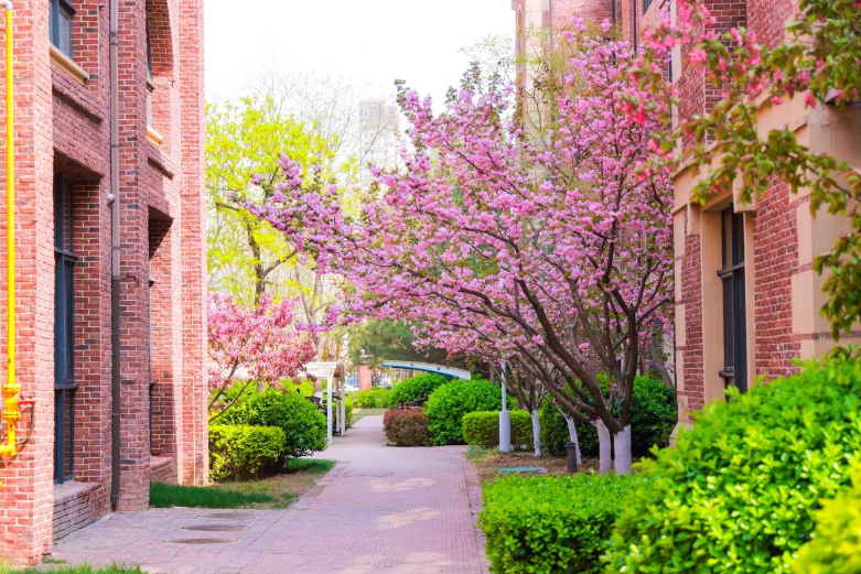 天津黑利伯瑞国际学校住宿费用&环境详情，家长必看(图1)
